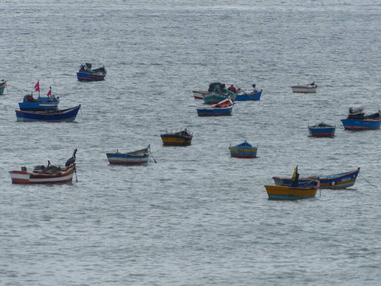 playa tortuga 035